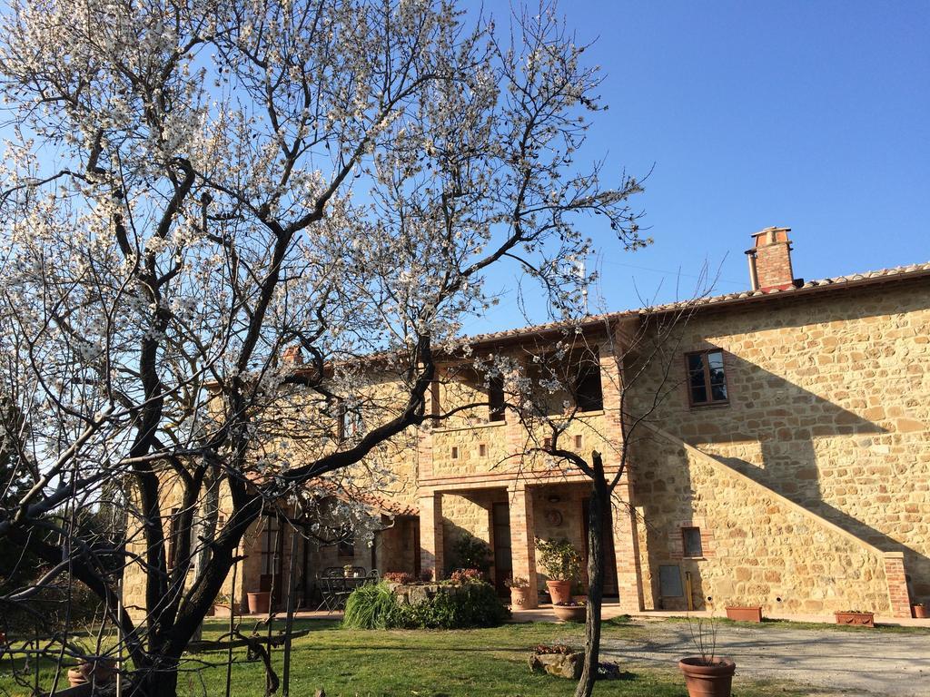 Agriturismo Podere San Gregorio ปีเอนซา ภายนอก รูปภาพ