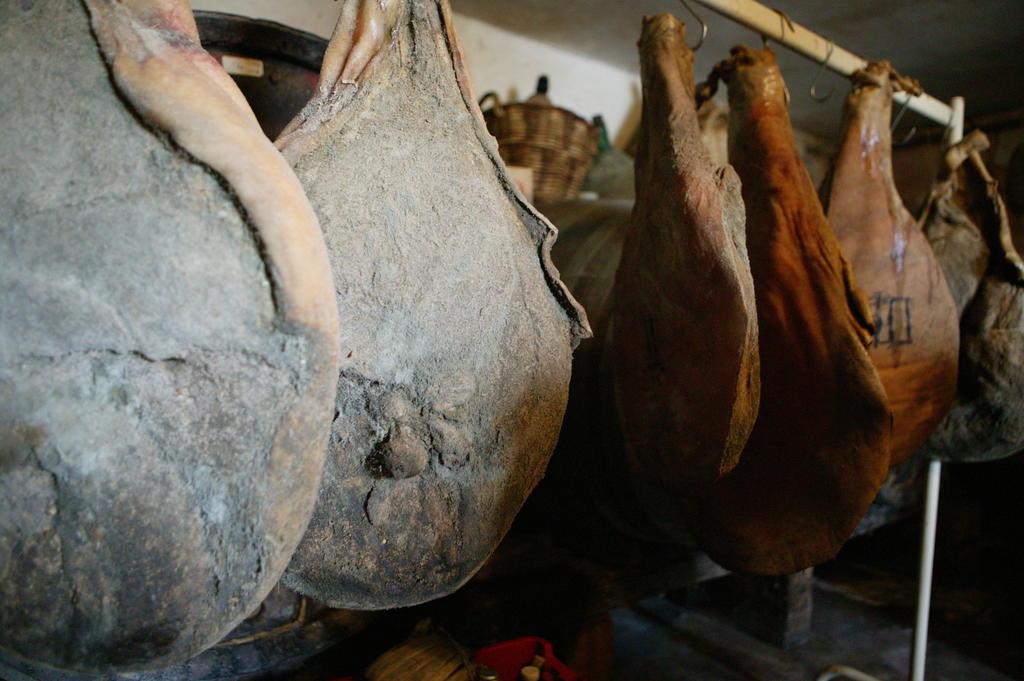 Agriturismo Podere San Gregorio ปีเอนซา ภายนอก รูปภาพ